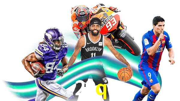 29q